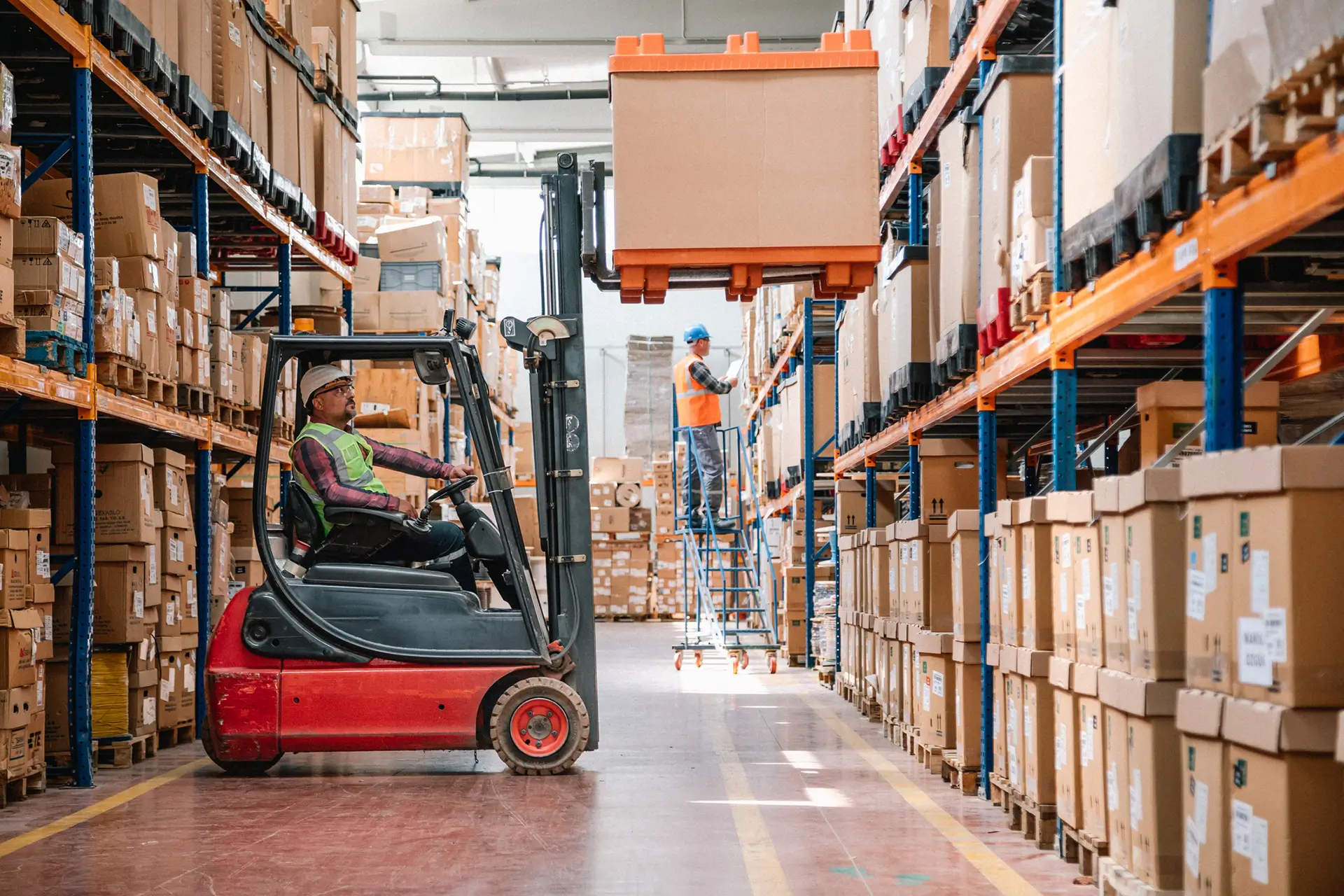 Distribution & Fulfillment